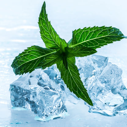 NIX Fresh 6mg - Pouch Australia