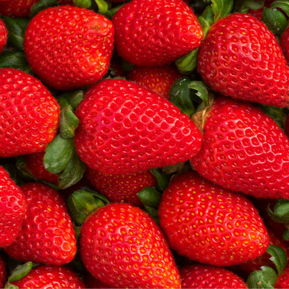 FINK Strawberry 3mg - Pouch Australia